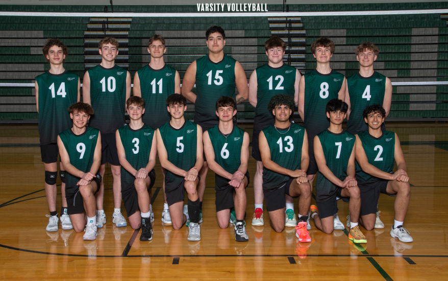 vb team